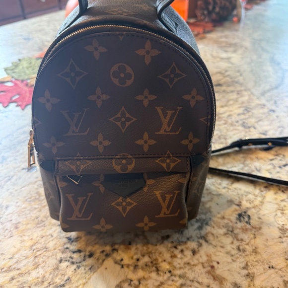 EXCELLENT Louis Vuitton Palm Springs Mini Monogram Backpack - Picture 2 of 8
